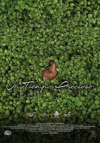 Poster of Un tiempo precioso