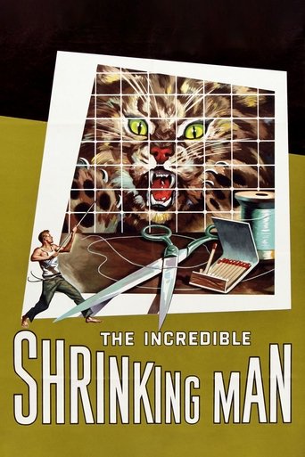 Poster of The Incredible Shrinking Man