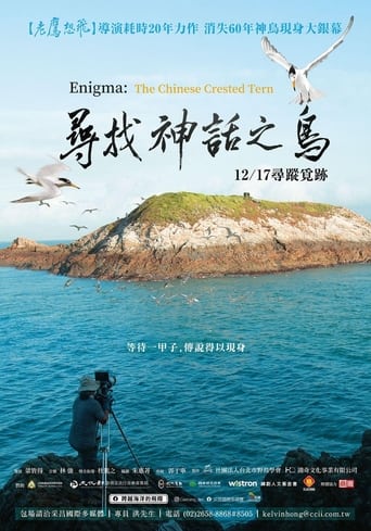 Poster of Enigma: The Chinese Crested Tern