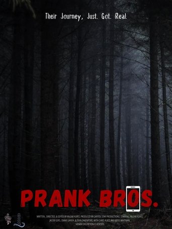 Poster of Prank Bros