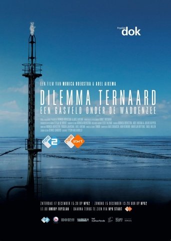 Poster of Dilemma Ternaard - Een gasveld onder de Waddenzee