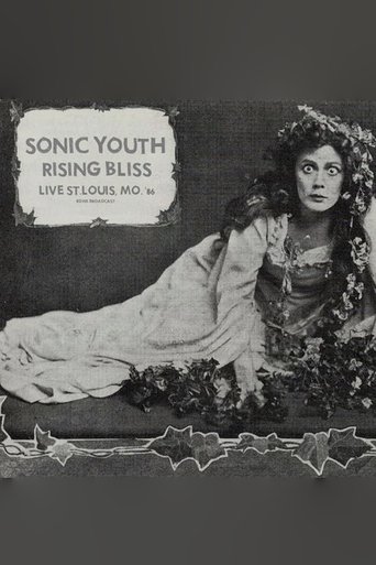 Poster of Sonic Youth: Mississippi Nights, St. Louis