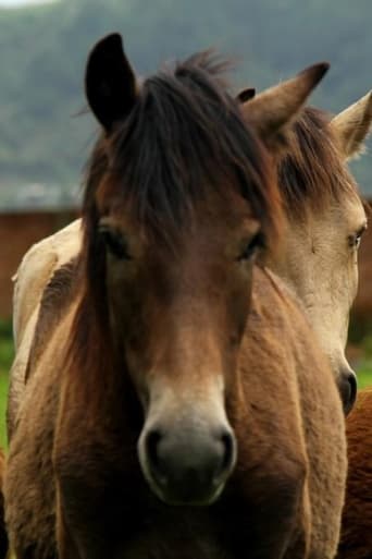 Poster of Manipuri Pony