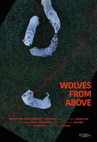 Poster of Wolves From Above