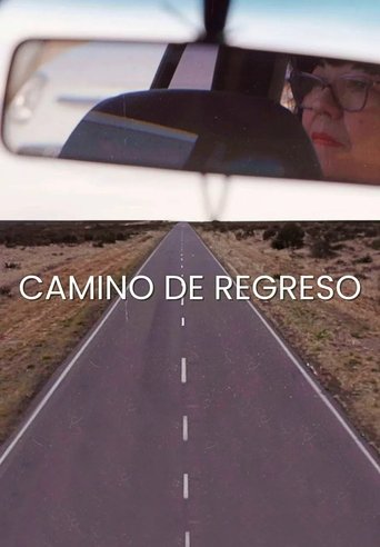 Poster of Camino de regreso