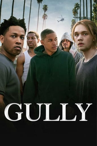 Poster of Gully