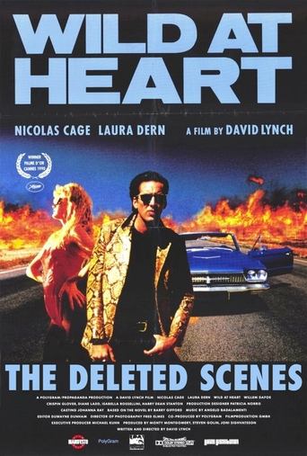 Poster of Wild at Heart: The Deleted Scenes