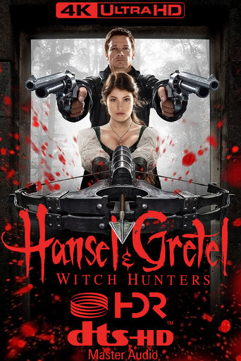 Poster of Hansel & Gretel: Witch Hunters