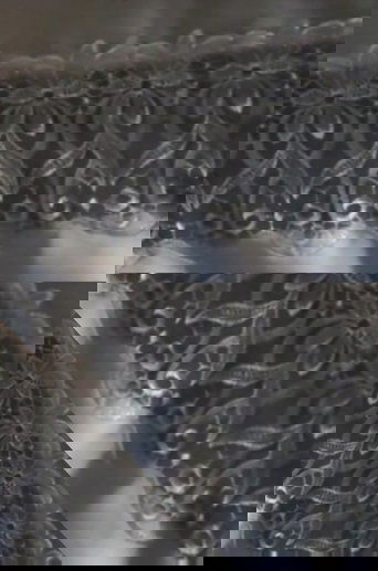 Poster of The sun that weaves lace