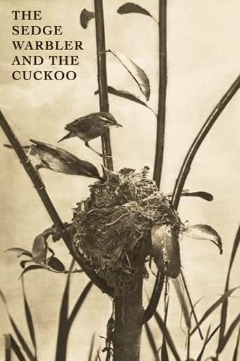 Poster of The Sedge Warbler and the Cuckoo