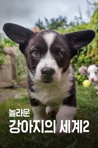 Poster of 놀라운 강아지의 세계