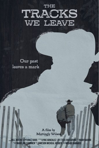 Poster of The Tracks We Leave