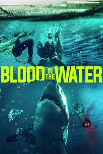 Poster of Blood in the Water