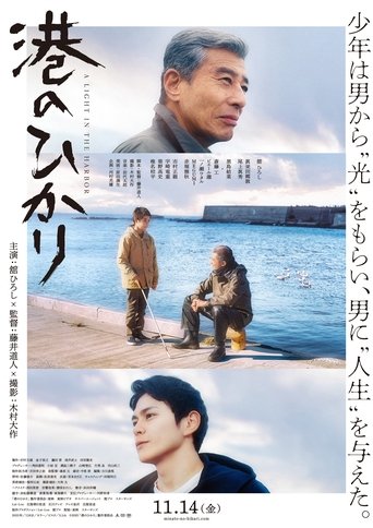 Poster of A Light in the Harbor