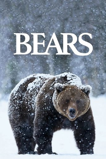 Poster of Bears