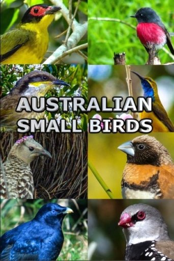 Poster of Australian Small Birds