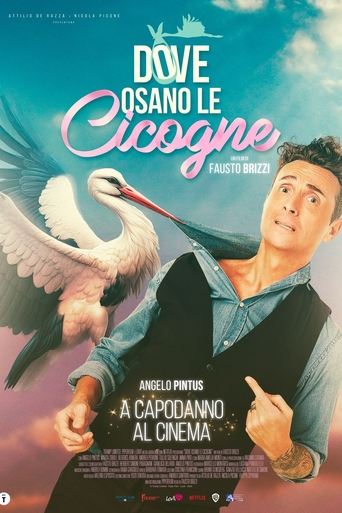 Poster of Dove osano le cicogne