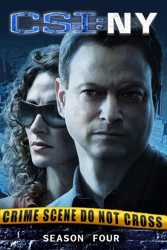 Portrait for CSI: NY - Season 4