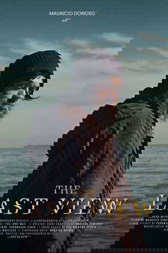 Poster of The Last View