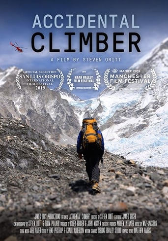 Poster of Accidental Climber