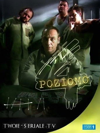 Poster of Cztery poziomo