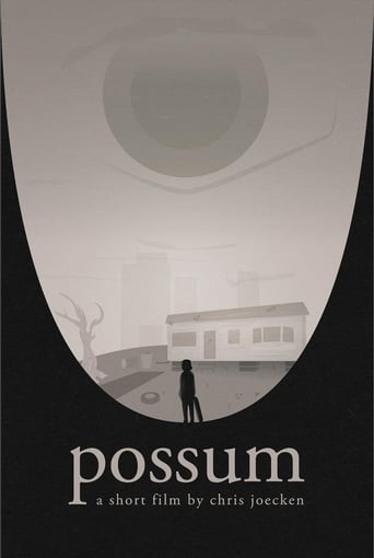 Poster of Possum