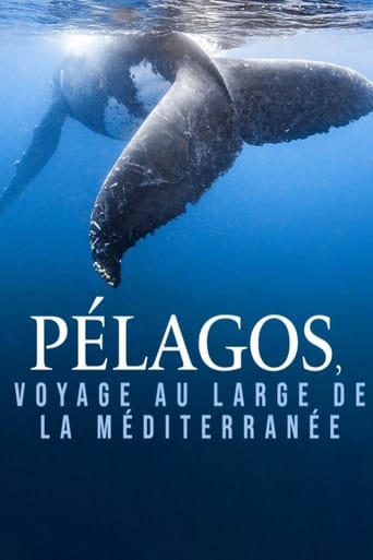 Poster of Pélagos, voyage au large de la Méditerranée