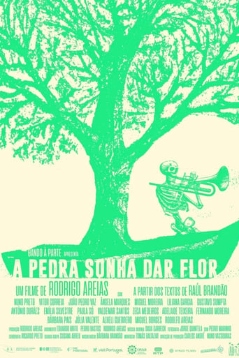 Poster of A pedra sonha dar flor