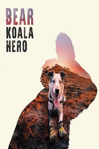 Poster of Bear: Koala Hero