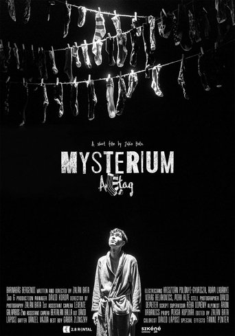 Poster of Mysterium Alltag
