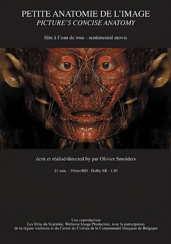 Poster of Petite anatomie de l'image
