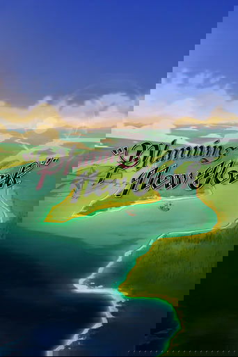 Poster of Planning New York