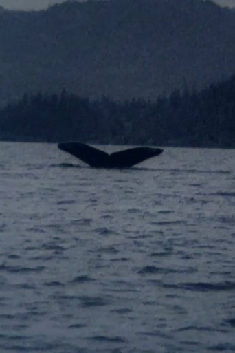 Whales Poster of Whales
