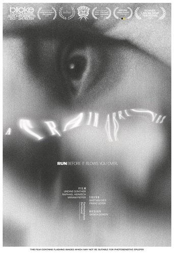 Poster of A Train Arrives