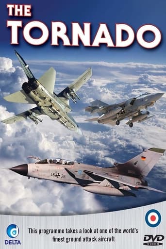 Poster of The Panavia Tornado