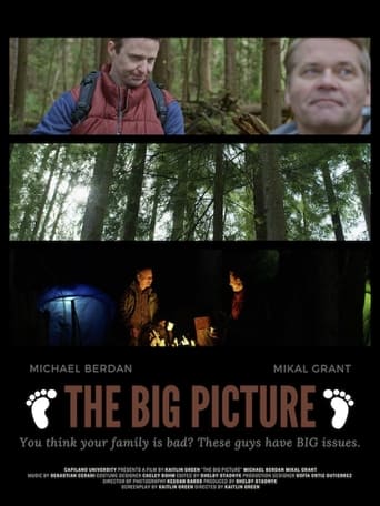 Poster of The Big Picture