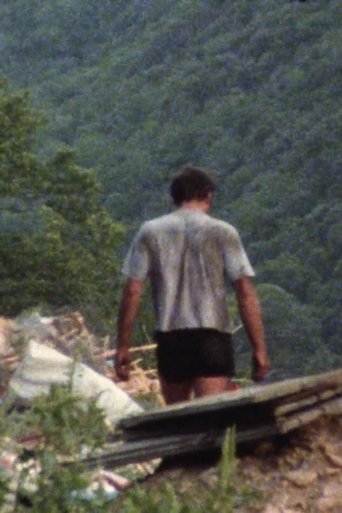 Poster of Stranger II