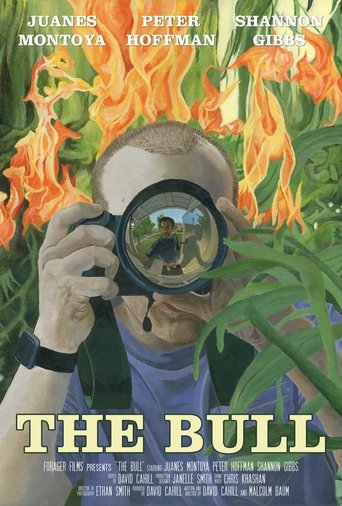 Poster of The Bull