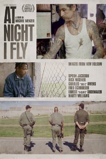 Poster of At Night I Fly