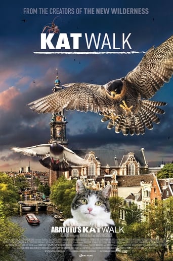 Poster of Katwalk