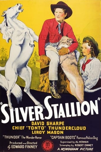 Poster of Silver Stallion