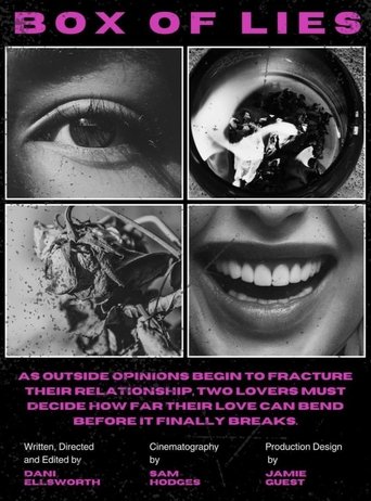 Poster of Box of Lies