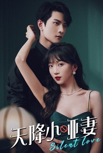 Poster of The Silent Wife Sent from Heaven