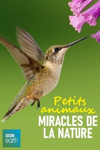 Poster of Petits animaux, miracles de la nature