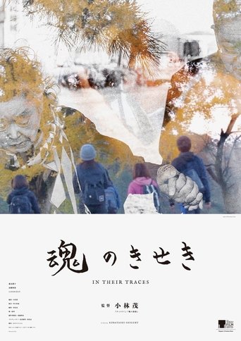 Poster of In Their Traces