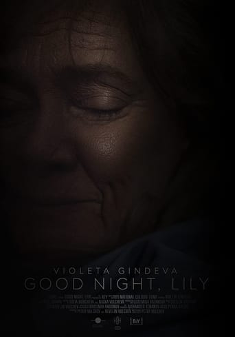 Poster of Good Night, Lily