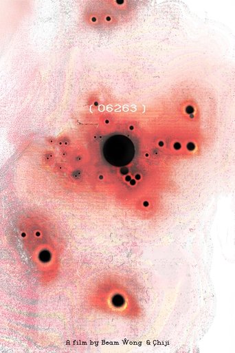 Poster of 06263