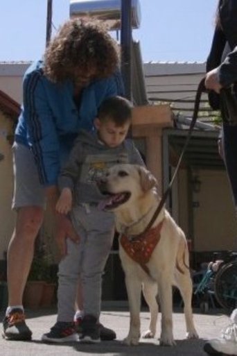 Poster of Dogs That Change Lives