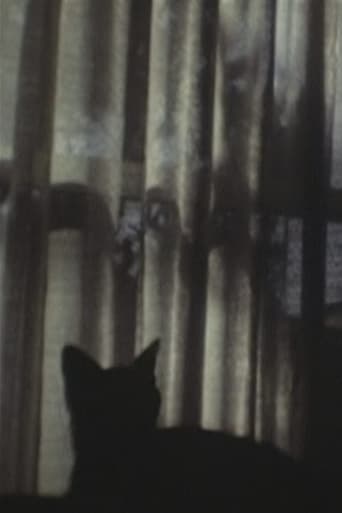 Poster of CAT ＆ CURTAIN