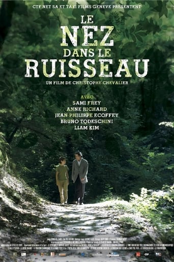 Poster of Le nez dans le ruisseau